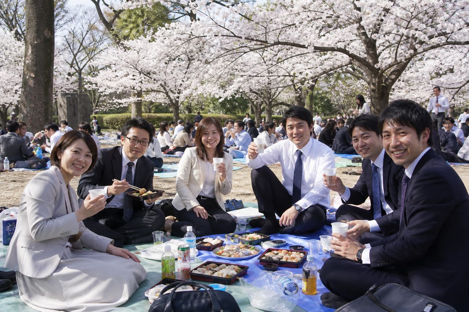 お花見ランチ会